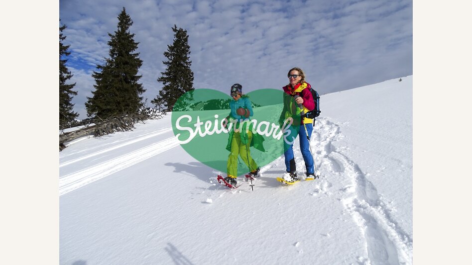 Schneeschuhwandern am Niederalpl | © WEGES | Weges