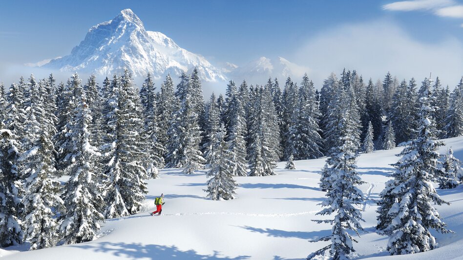 View to the Hochtorgruppe | © Steiermark Tourismus | Atelier Jungwirth / Erich Hagspiel