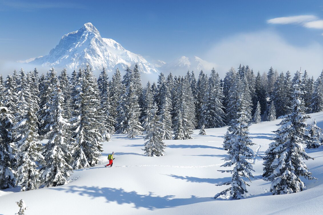 Blick auf die Hochtorgruppe im Gesäuse | © STG | Atelier Jungwirth / Erich Hagspiel