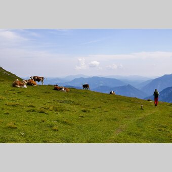 Zwischen Schneealm und Rax im Naturpark Mürzer Oberland | © STG | Manfred Polansky
