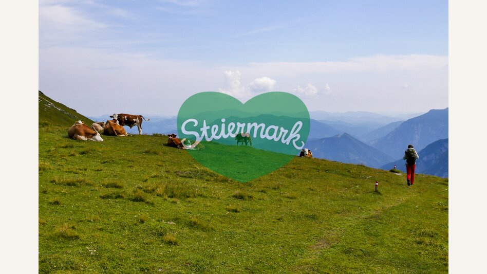Zwischen Schneealm und Rax im Naturpark Mürzer Oberland | © STG | Manfred Polansky
