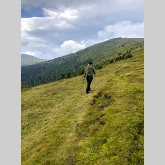 Am Weg vom Salzstiegl nach Pack | © STG | Martina Traisch
