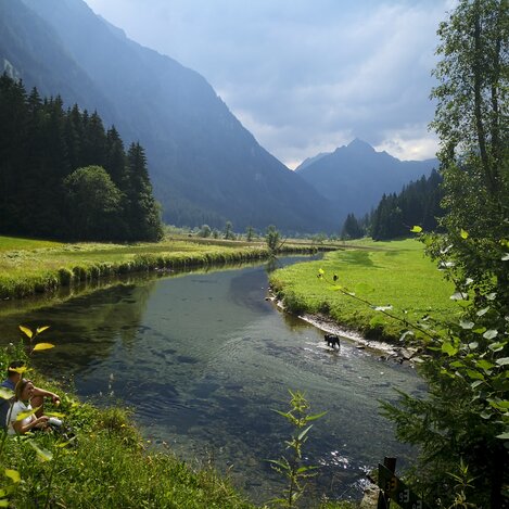 Am Tettermoor am Themenweg Wilde Wasser in Schladming | © STG | Martina Haselwander