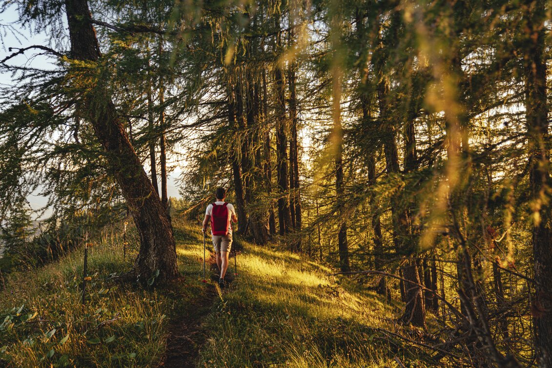 Wandern in Ramsau am Dachstein | © STG | photo-austria.at