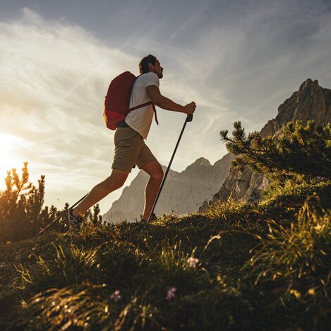 Bei den "Steinernen Jungfrauen", einer bizarren Felsformation am Fuße des Dachstein | © STG | photo-austria.at