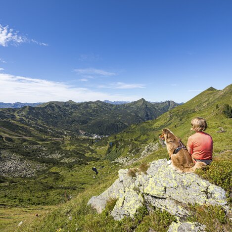At the Planneralm with a dog | © Steiermark Tourismus | photo-austria.at