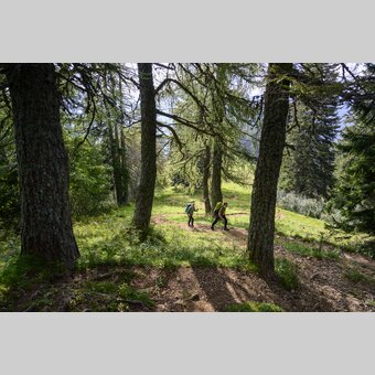 Am Weg von der Hohen Veitsch nach Neuberg an der Mürz | © STG | pixelmaker.at