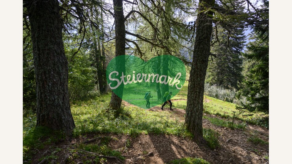 Am Weg von der Hohen Veitsch nach Neuberg an der Mürz | © STG | pixelmaker.at