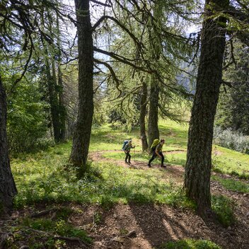 Am Weg von der Hohen Veitsch nach Neuberg an der Mürz | © STG | pixelmaker.at