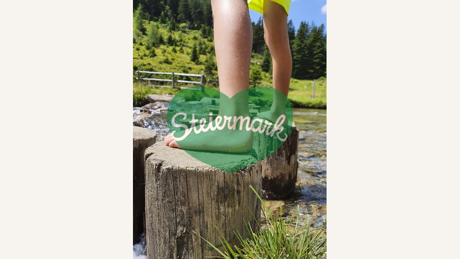 Almerlebnis auf der Eselsberger Alm bei Oberwölz | © STG | Günther Steininger