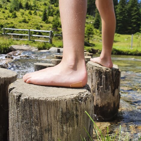 Almerlebnis auf der Eselsberger Alm bei Oberwölz | © STG | Günther Steininger