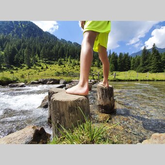 Almerlebnis auf der Eselsberger Alm bei Oberwölz | © STG | Günther Steininger