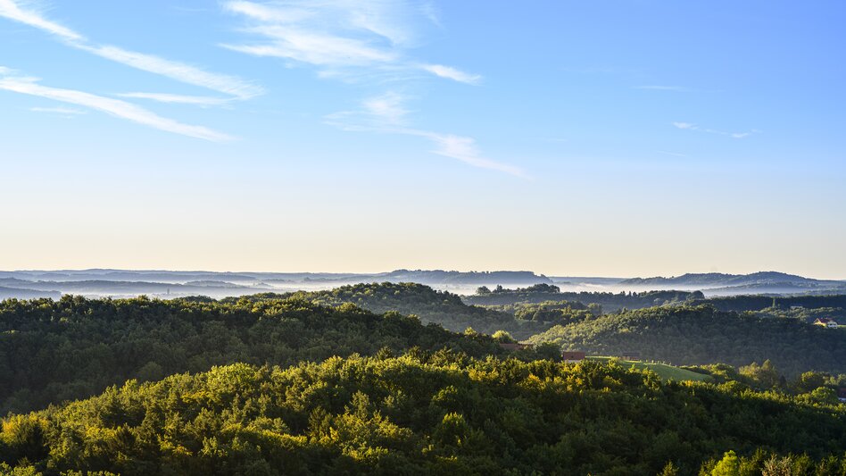 On the way from Fehring to Bad Gleichenberg | © Steiermark Tourismus | pixelmaker.at