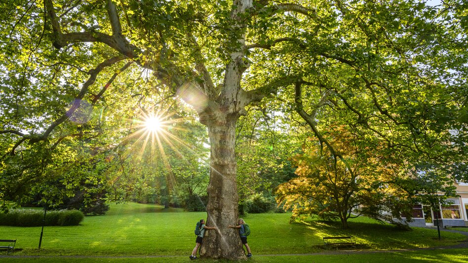 In the spa gardens of Bad Gleichenberg | © Steiermark Tourismus | pixelmaker.at