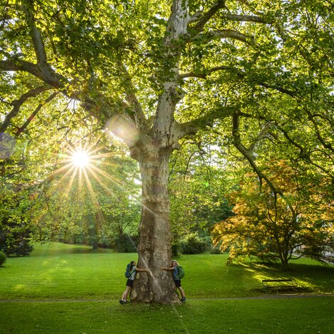 Im Kurpark von Bad Gleichenberg | © STG | pixelmaker.at