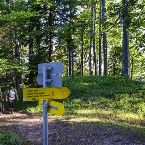 Am Weg vom Almenland nach Anger | © STG | pixelmaker.at