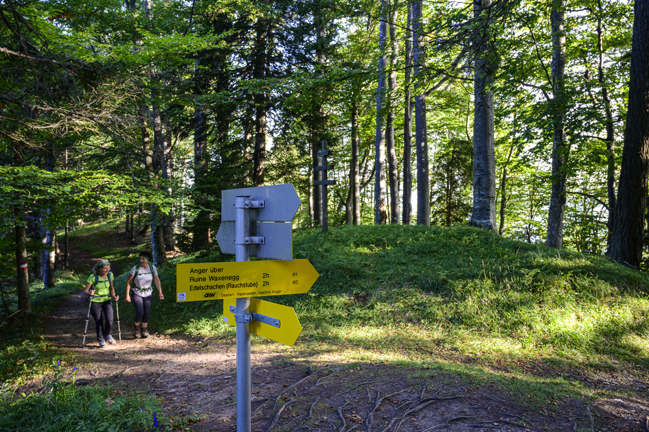 Am Weg vom Almenland nach Anger | © STG | pixelmaker.at