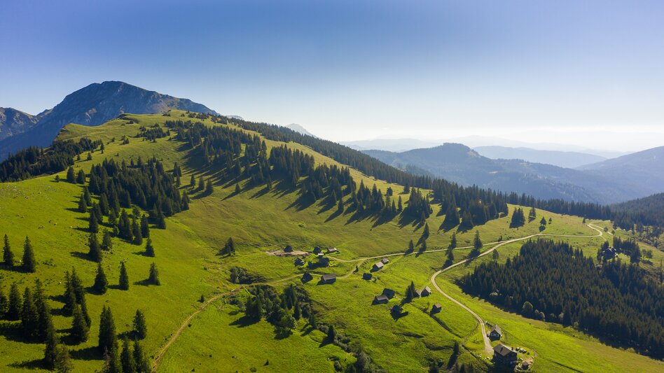 Alpine pastures between Seewiesen and Hoher Veitsch | © Steiermark Tourismus | pixelmaker.at