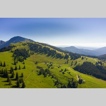 Almen zwischen Seewiesen und Hoher Veitsch | © STG | pixelmaker.at