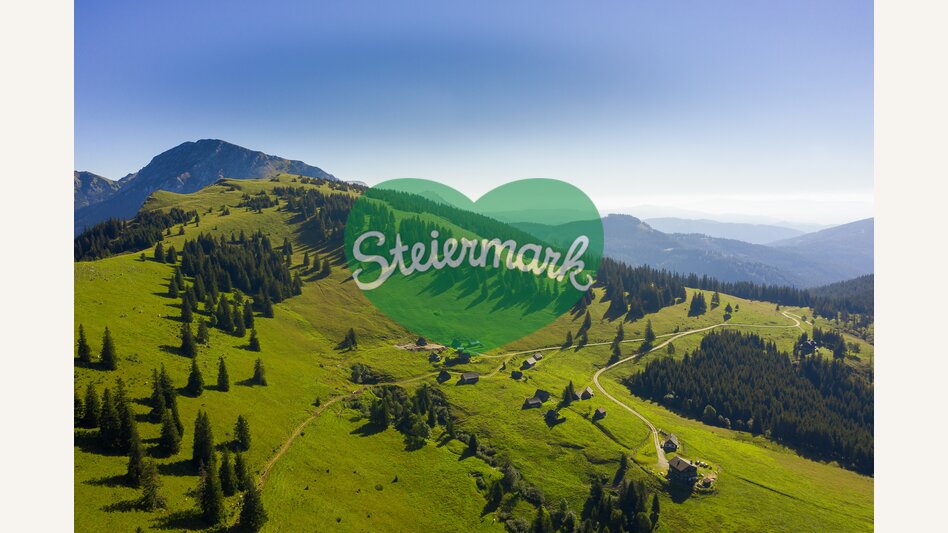 Almen zwischen Seewiesen und Hoher Veitsch | © STG | pixelmaker.at