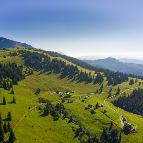 Almen zwischen Seewiesen und Hoher Veitsch | © STG | pixelmaker.at