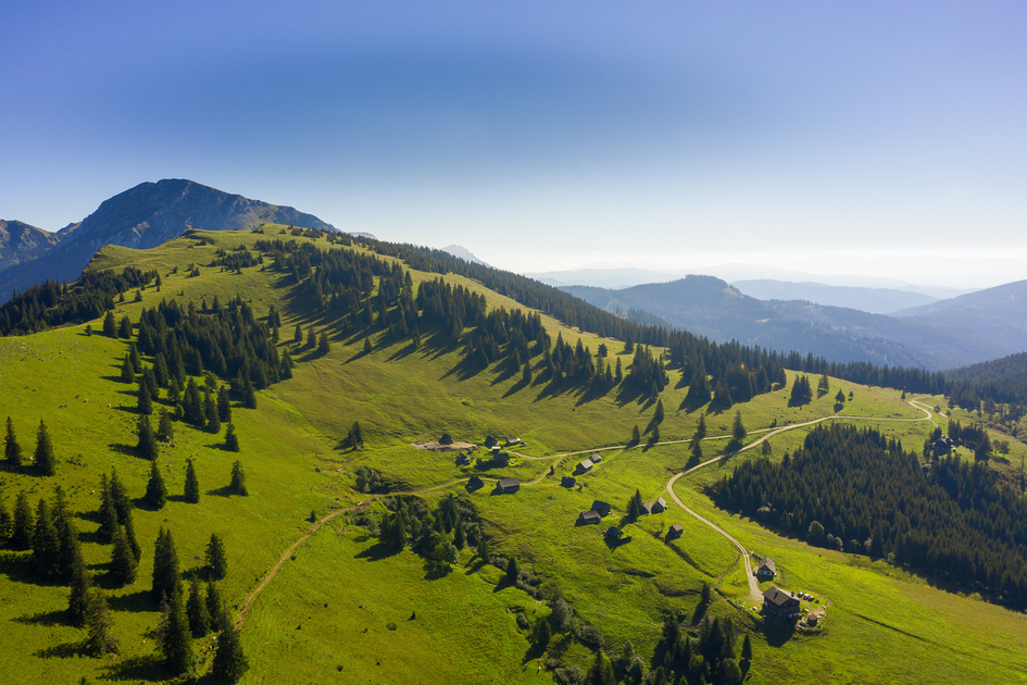 Alpine pastures between Seewiesen and Hoher Veitsch | © Steiermark Tourismus | pixelmaker.at