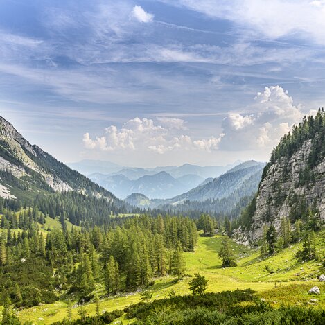 Sulzkaralm in the Gesäuse region | © Steiermark Tourismus | pixelmaker.at