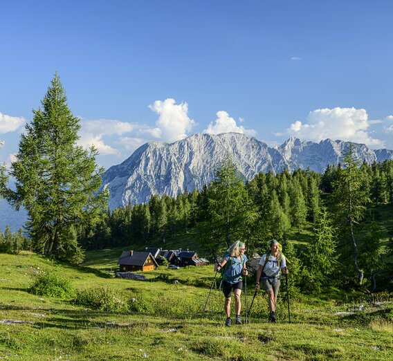 On the Tauplitzalm | © Steiermark Tourismus | pixelmaker.at