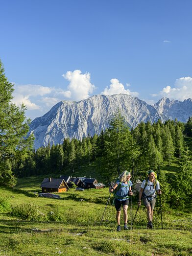 On the Tauplitzalm | © Steiermark Tourismus | pixelmaker.at