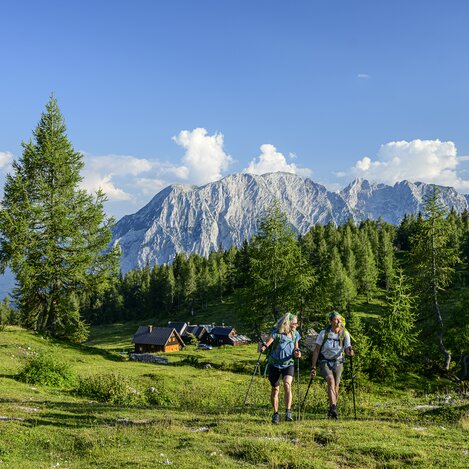 Auf der Tauplitzalm | © STG | pixelmaker.at