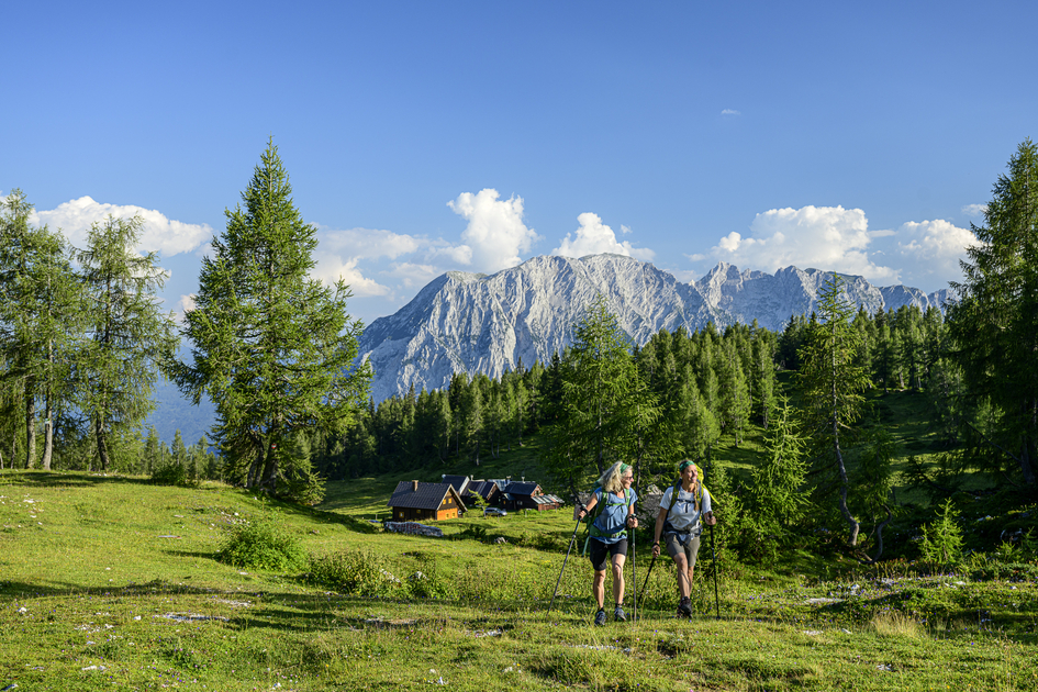 On the Tauplitzalm | © Steiermark Tourismus | pixelmaker.at