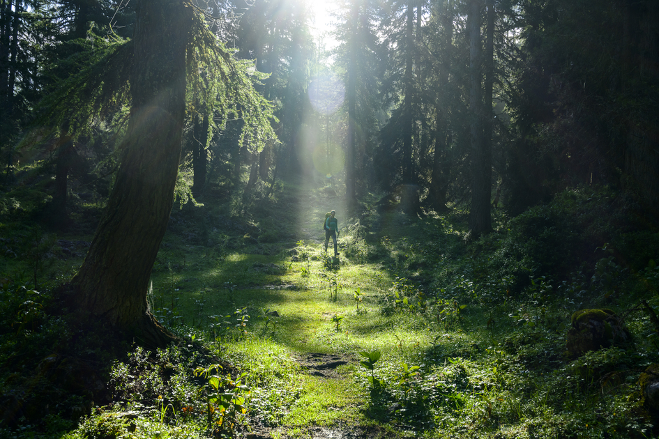 On the way from Stoderzinken to Bad Mitterndorf) | © Steiermark Tourismus | pixelmaker.at