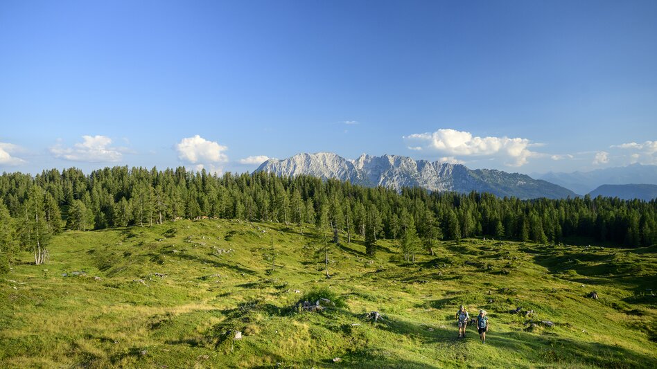 On the Tauplitzalm | © Steiermark Tourismus | pixelmaker.at