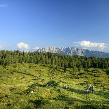 Auf der Tauplitzalm | © STG | pixelmaker.at