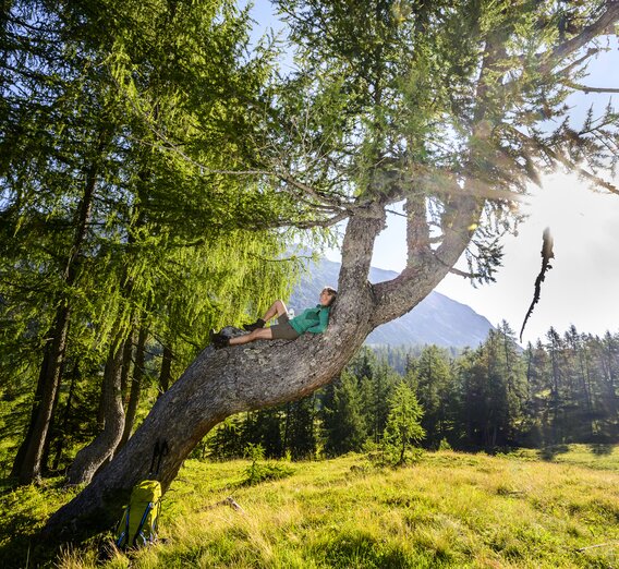 Rest on the way to the Tauplitzalm | © Steiermark Tourismus | pixelmaker.at