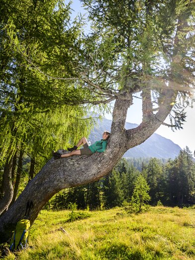 Rest on the way to the Tauplitzalm | © Steiermark Tourismus | pixelmaker.at