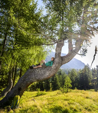 Rest on the way to the Tauplitzalm | © Steiermark Tourismus | pixelmaker.at