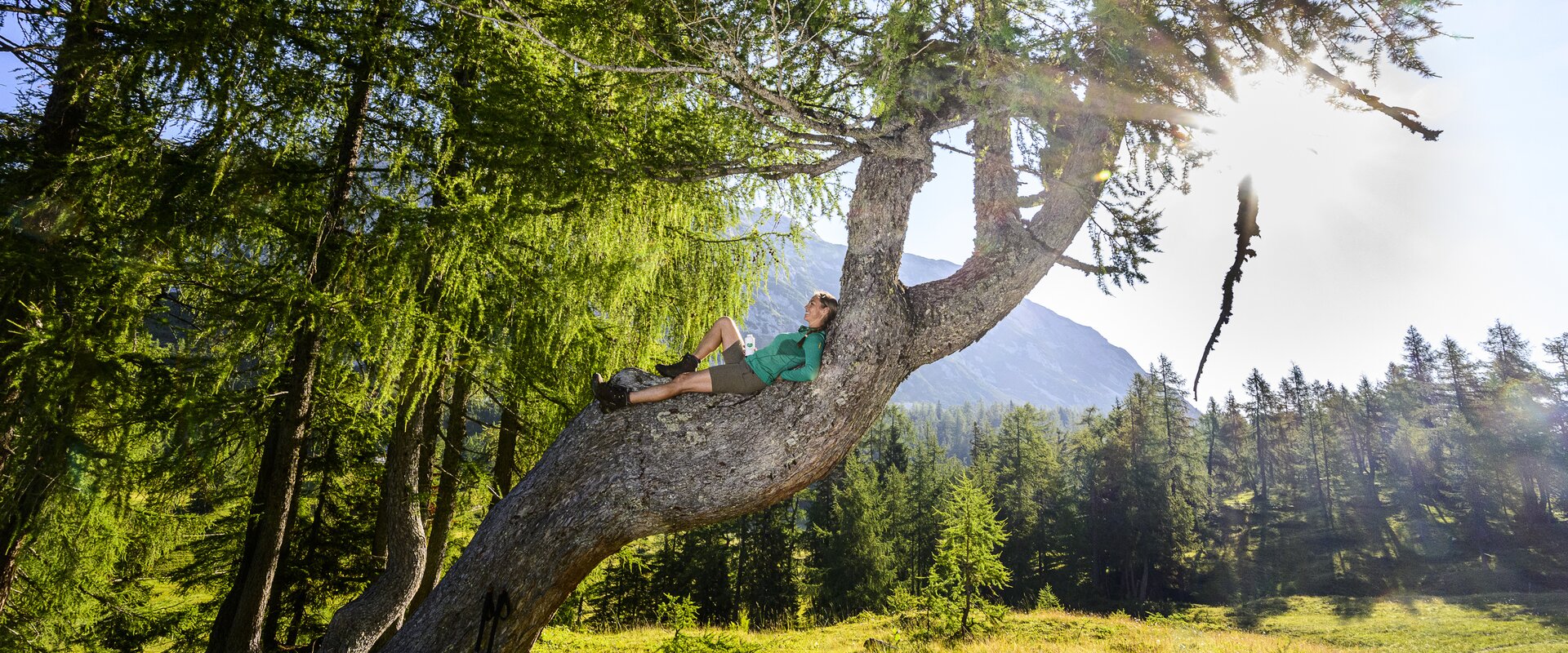 Rest on the way to the Tauplitzalm | © Steiermark Tourismus | pixelmaker.at