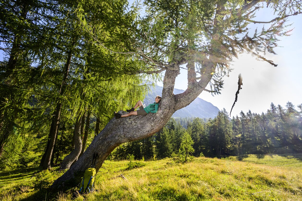 Rest on the way to the Tauplitzalm | © Steiermark Tourismus | pixelmaker.at