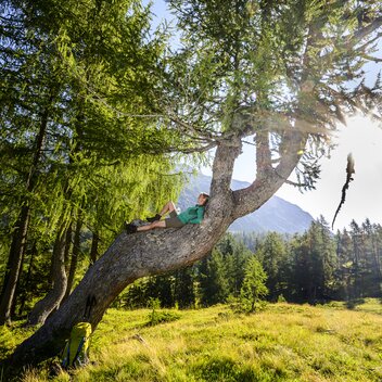 Rast am Weg auf die Tauplitzalm | © STG | pixelmaker.at