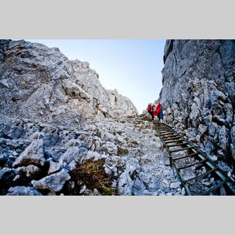 Aufstieg übers G`hackte am Hochschwab | © STG | Tom Lamm