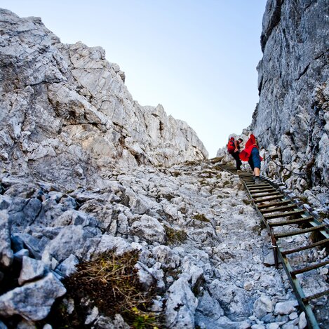 Aufstieg übers G`hackte am Hochschwab | © STG | Tom Lamm