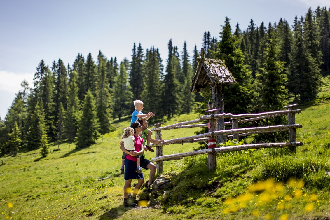 Frühlingswanderung auf die Frauenalpe | © STG | Tom Lamm