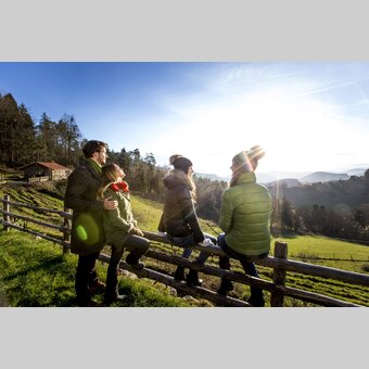 Spätherbstliche Wanderung in Semriach | © STG | Tom Lamm