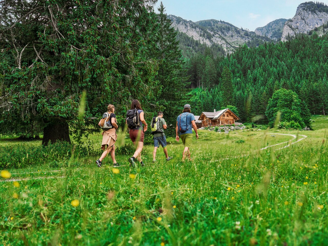 Unterwegs zur Lahnalm im Gesäuse | © TV Gesäuse | Robert Maybach