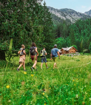 On the way to the Lahnalm | © TV Gesäuse | Robert Maybach