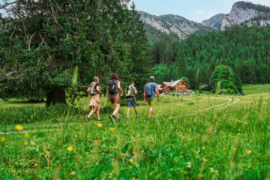 On the way to the Lahnalm | © TV Gesäuse | Robert Maybach