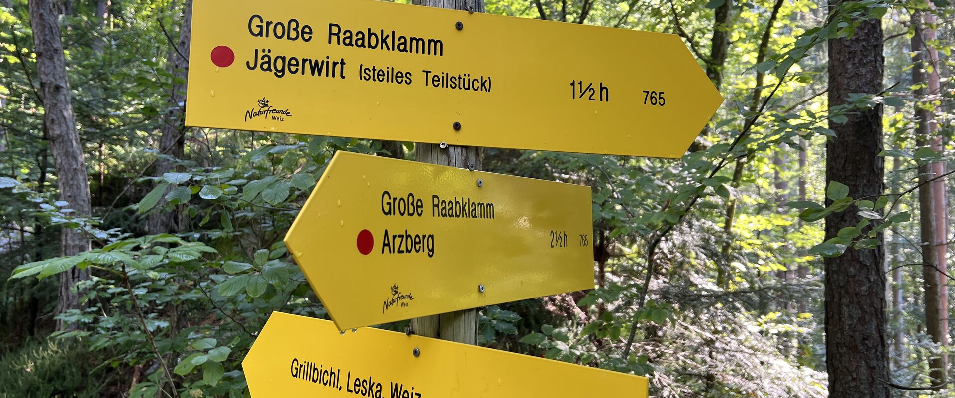 In the Raabklamm, the longest gorge in Austria | © STG | Günther Steininger