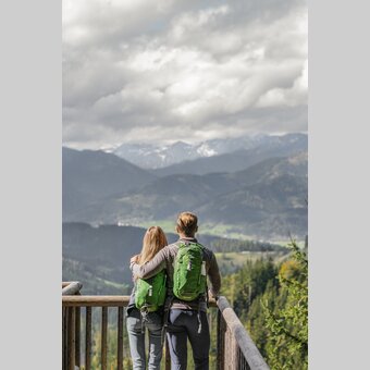 Am Bründlweg mit Ausblick auf den Hochschwab | © STG | Elena Egger
