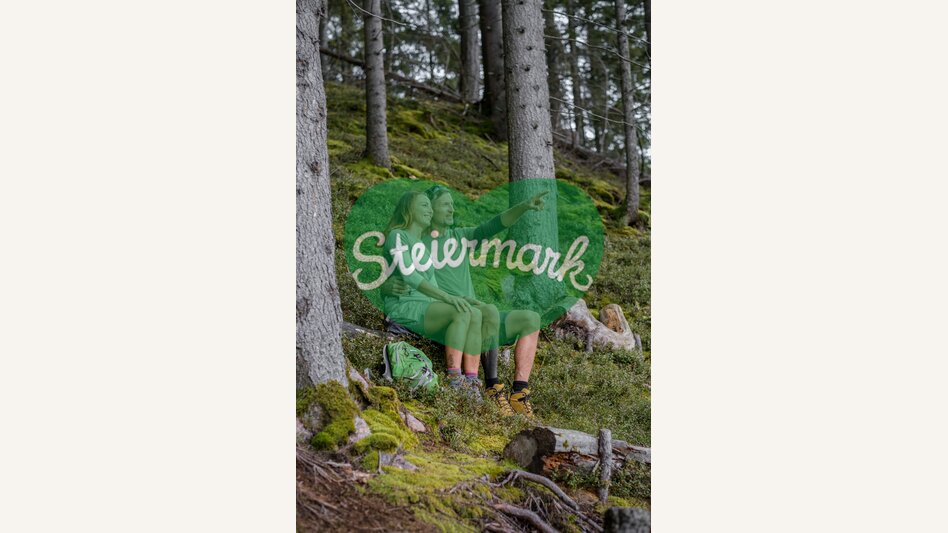 Waldwandern mit Ausblick | © STG | Elena Egger